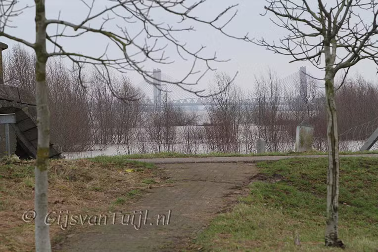 2011_01_16 Lo Hoog water Bommelerwaard