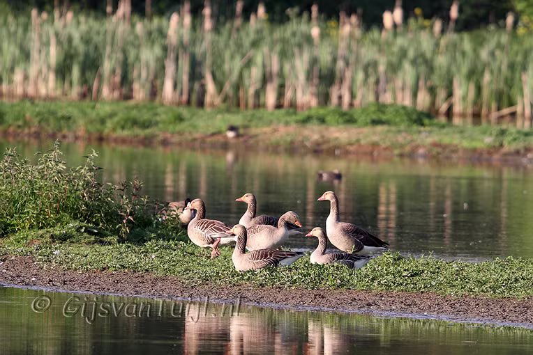 2011_04_25 Lo Avond Lieskampen met Marco