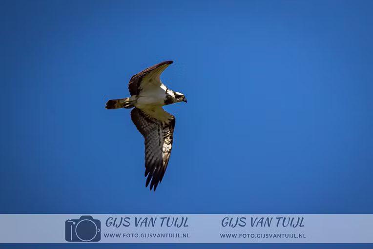 2020_04_20 Everdingerwaard