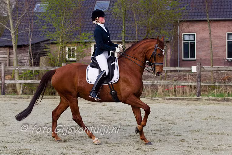 2016_04_01 Lo Paardensport Z1 Z2 ZZL Gameren